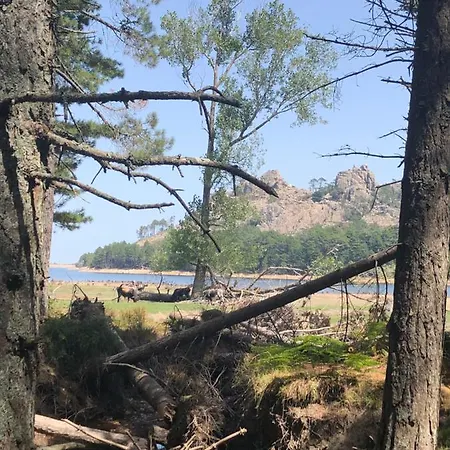 Location En Alta Rocca A Sainte Lucie De Tallano