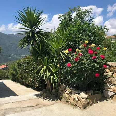 Location En Alta Rocca A Sainte Lucie De Tallano * Santa-Lucia-di-Tallano